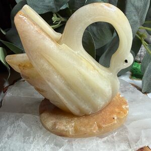 Onyx Swan from Mexico